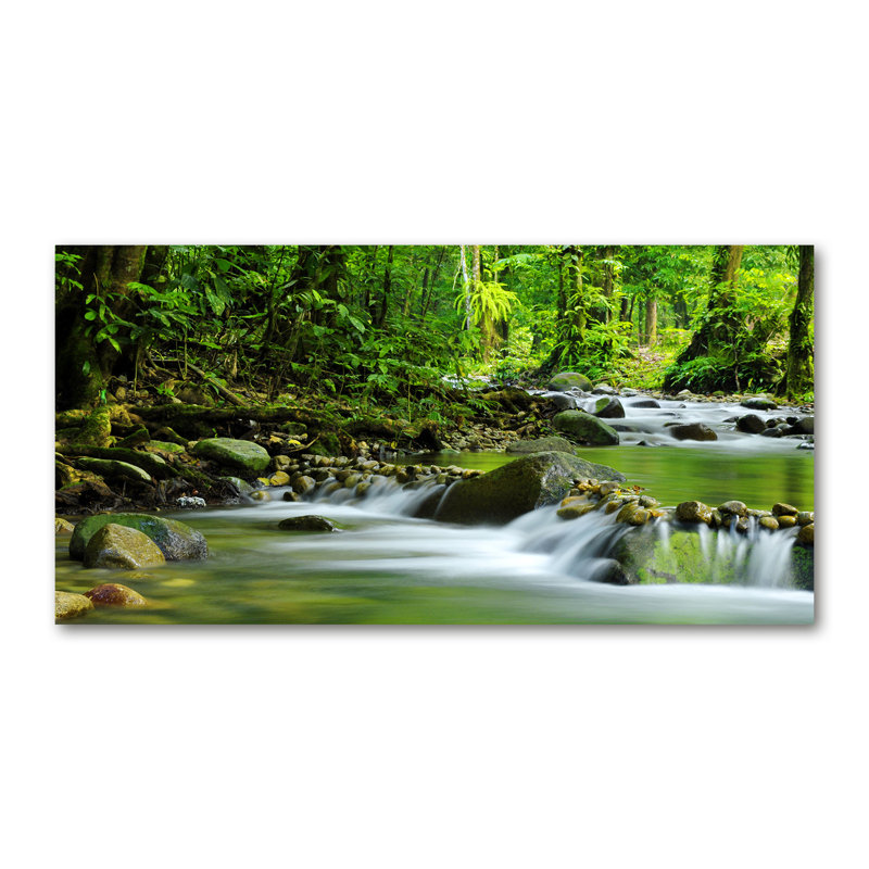 Mountain Stream - No Frame Print on Canvas