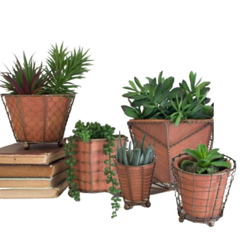  Terracotta Planters With Wire Wrap & Brass Detail, Set of 5