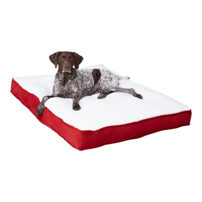 Supportive Pillow Dog Bed