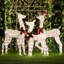 Christmas Deer Lighted Display 3 Piece Set-772121431