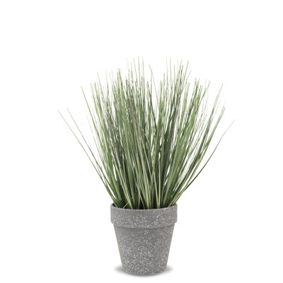 Faux Evergreen Grass in Pot