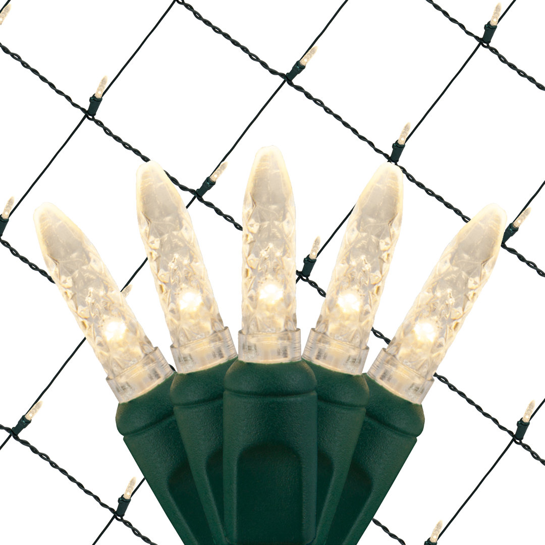 LED Net Lights The Holiday Aisle®