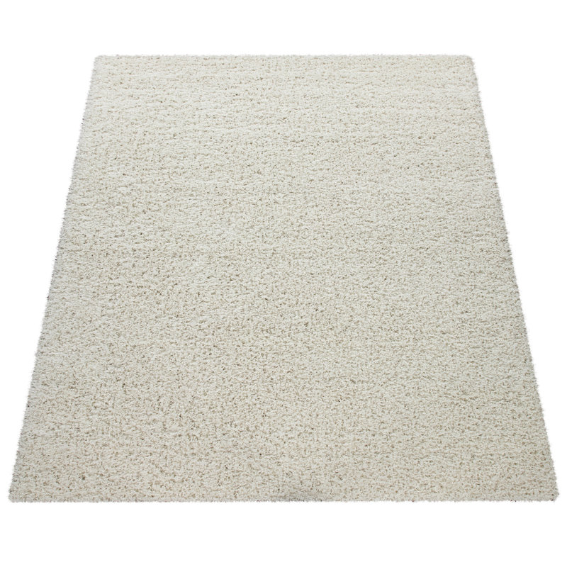 Epperson Solid Colour Shag Area Rug, Rectangle 60 x 100cm