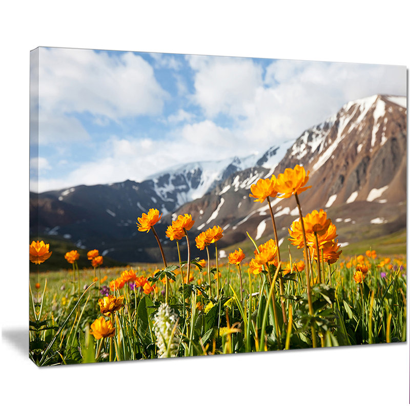 «Mountain Meadow with Yellow Flowers», reproduction de photo sur toile tendue, H 12 po x l 20 po