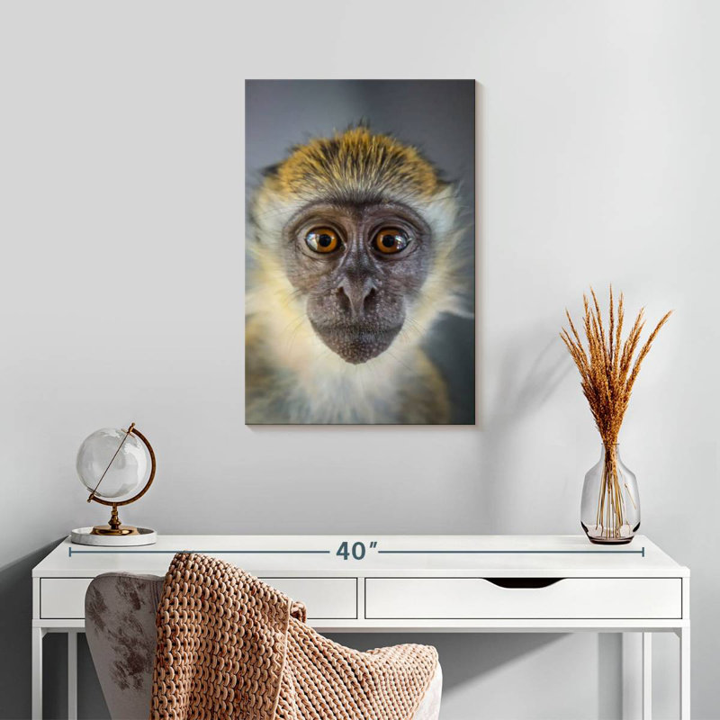 Brampt Vervet Monkey, 24" H x 16" W
