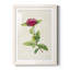 «Pretty Botanicals II», cadre photo-341834863-341834861