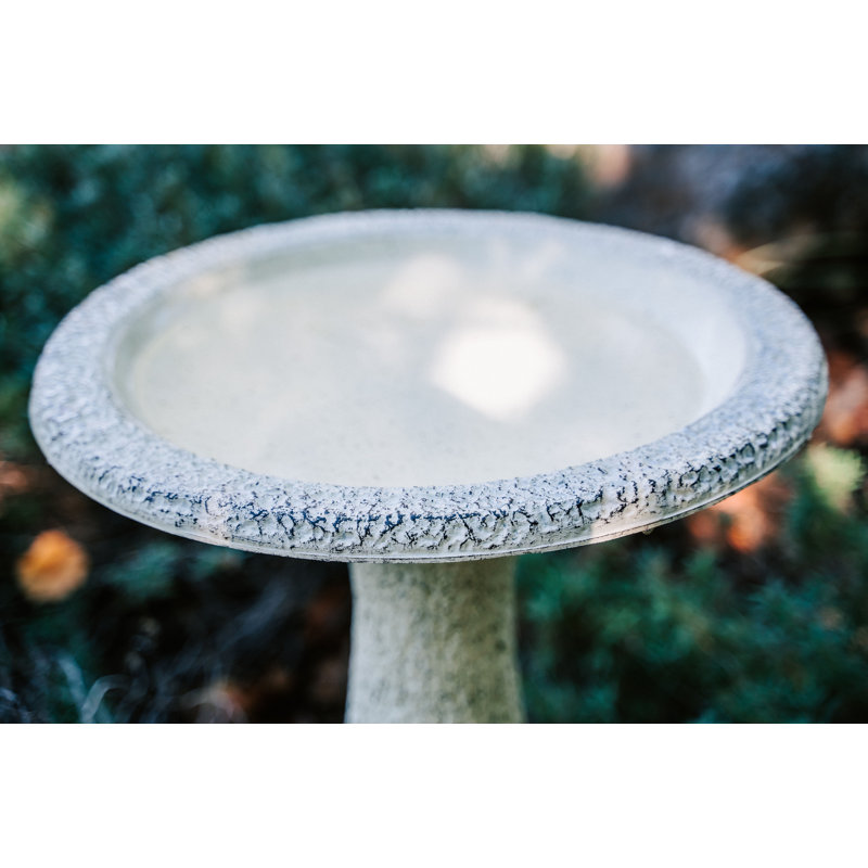 Dezera Birdbath, 23.5" H x 17.5" W x 17.5" D, Yellow
