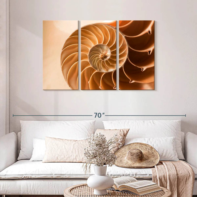 Aletra Nautilus Shell Inside, 28" H x 45" W
