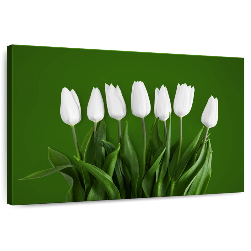 Tulipes blanches Harnek, H 26 po x l 39 po