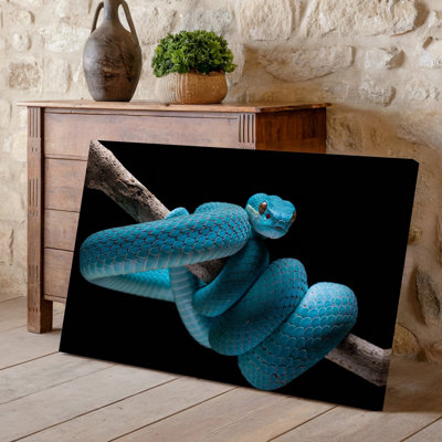 Reproduction d'art sur toile, "Un serpent bleu frappant" élégamment enroulé autour d'une branche élancée