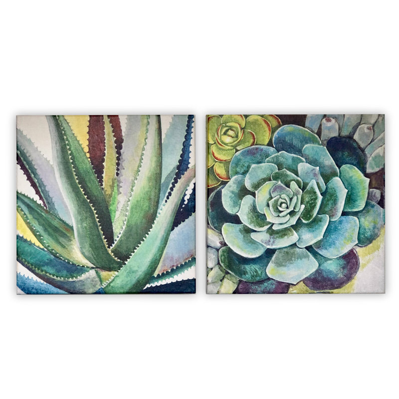Brilliant Succulents I/II by Norman Wyatt Jr. - Canvas Print Set, 24" H x 48" W, No Mat, Wrapped Canvas