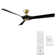 58" Torque 3 - Blade Outdoor/Indoor Smart Ceiling Fan with Remote Control Included, Works With Alexa and iOS or Android App