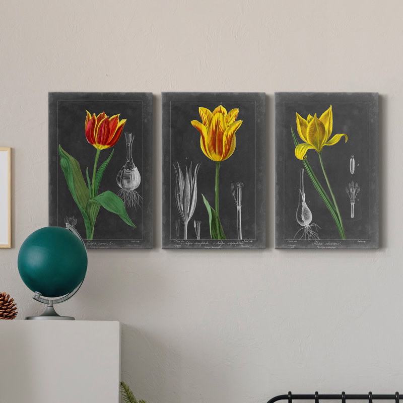 «Midnight Tulip IV», ensemble de 3 toiles tendues, H 36 po x l 24 po x P 1 po