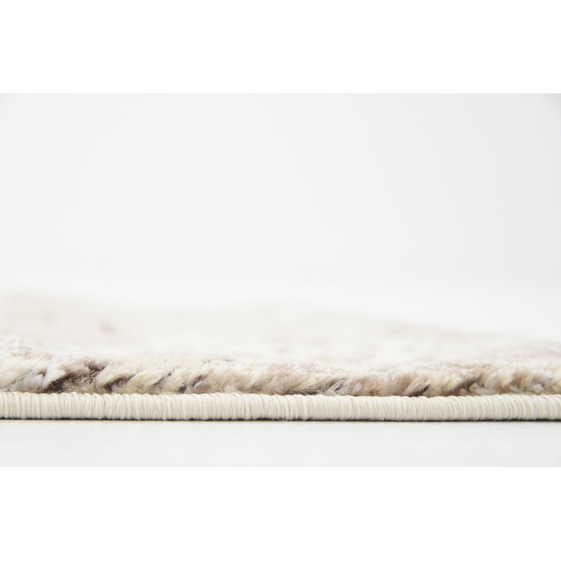 Tapis contemporain de couleur ivoire Emigdio, Rectangle 10 pi x 13 pi