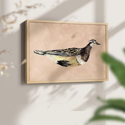 «Feathered Friend IV», reproduction encadrée