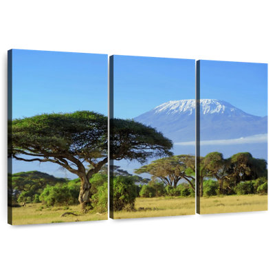 Harnek Kilimanjaro