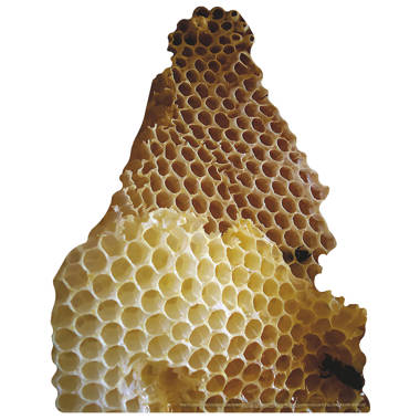 Natural Honey Comb