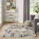 Dac Machine Woven Polyester/Polypropylene Area Rug in Cream/Grey