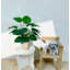 31,5 "Faux arbre Devil's Ivy Scindapsus Aureus en pot noir-1798766426
