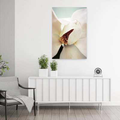 Contemporary Art Elegant Organic Contemporary Magnolia Nature Flower Wall Art