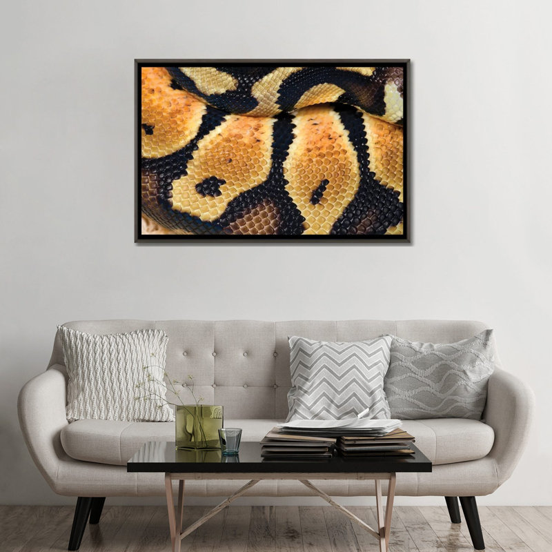 Pastel royal python - reproduction d'art murale - toile encadrée, 48" x 32", Toile avec cadre, Gris