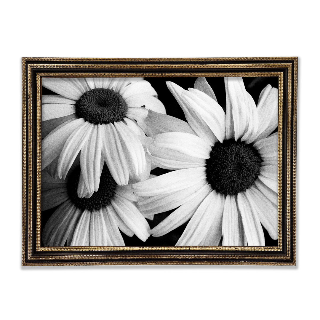 Daisy Petal Beauty B N W - Druck