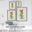 «Pretty Pink Botanicals IV», reproduction encadrée - bois massif-1156763834