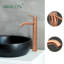 Single-handle Bathroom Faucet-101123212