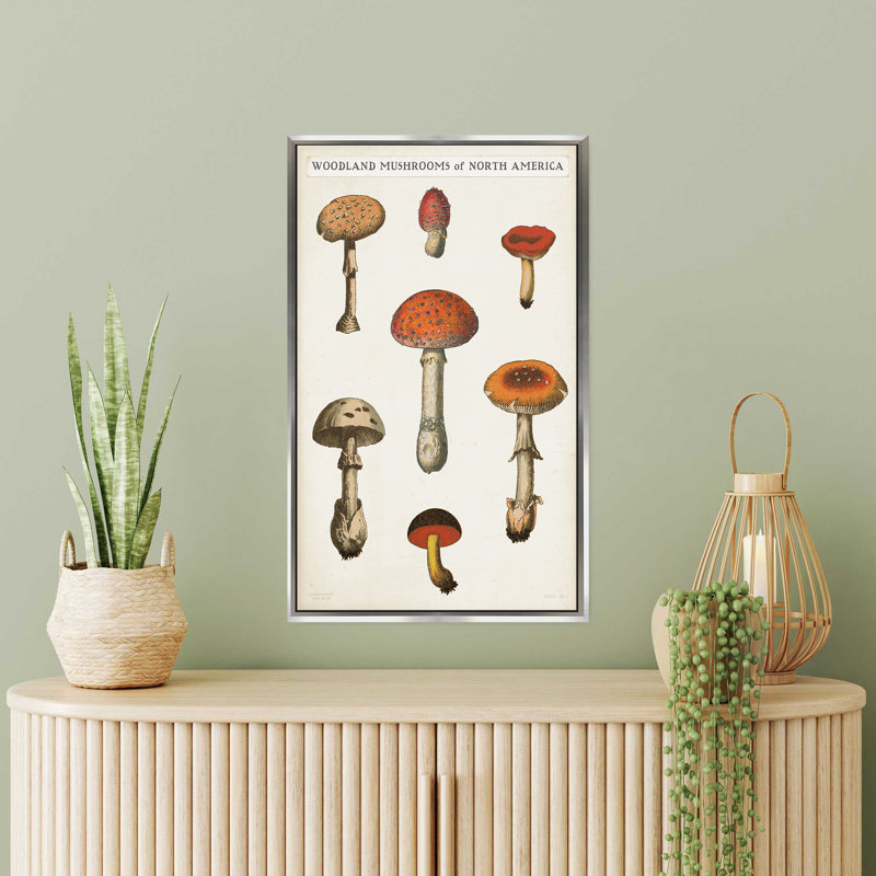 "Mushroom Chart III Light" par Wild Apple, reproduction sur toile tendue dans un cadre flottant, H 63,5 po x l 39,5 po