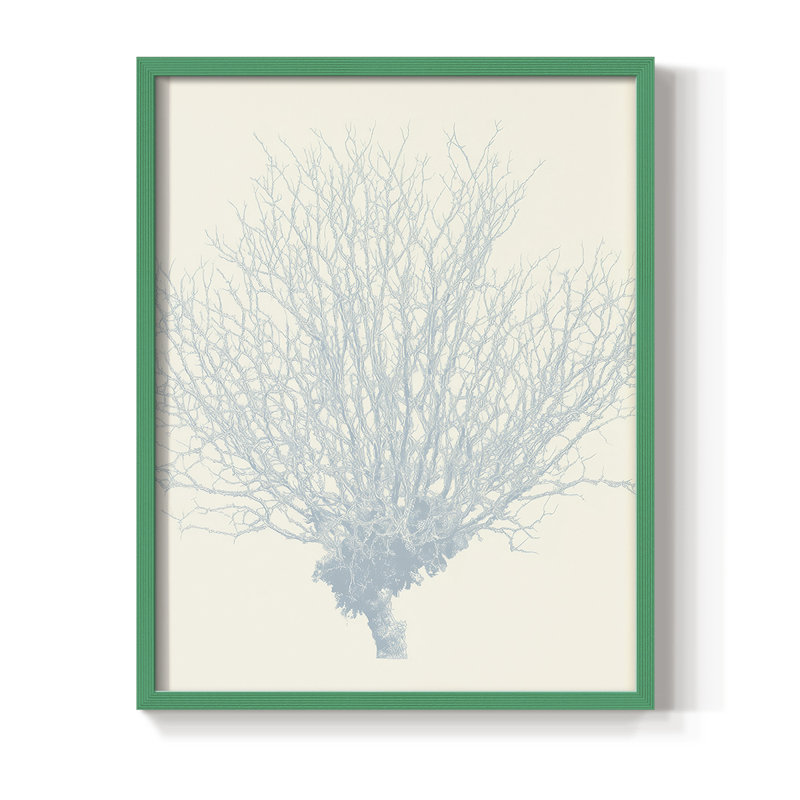 NAUTICAL Series X, reproduction encadrée - bois massif, H 30 po x l 24 po, Vert