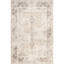 Tapis Ellamae SpinClean Faded Medallion-1152723252
