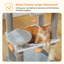Arbre à chat à plusieurs niveaux pour chats d'intérieur avec poteaux à griffer, hamac et perchoir supérieur pour grands chats-252455016