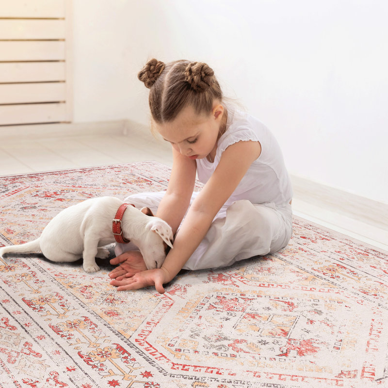 6X9 Washable Area Rug, Beige, Low-Pile, Non-Slip, Non-Shedding, For Bedroom, Living Room, Kitchen, Dining Pet- Rug 6X9, Machine Washable, Foldable Pet Safe