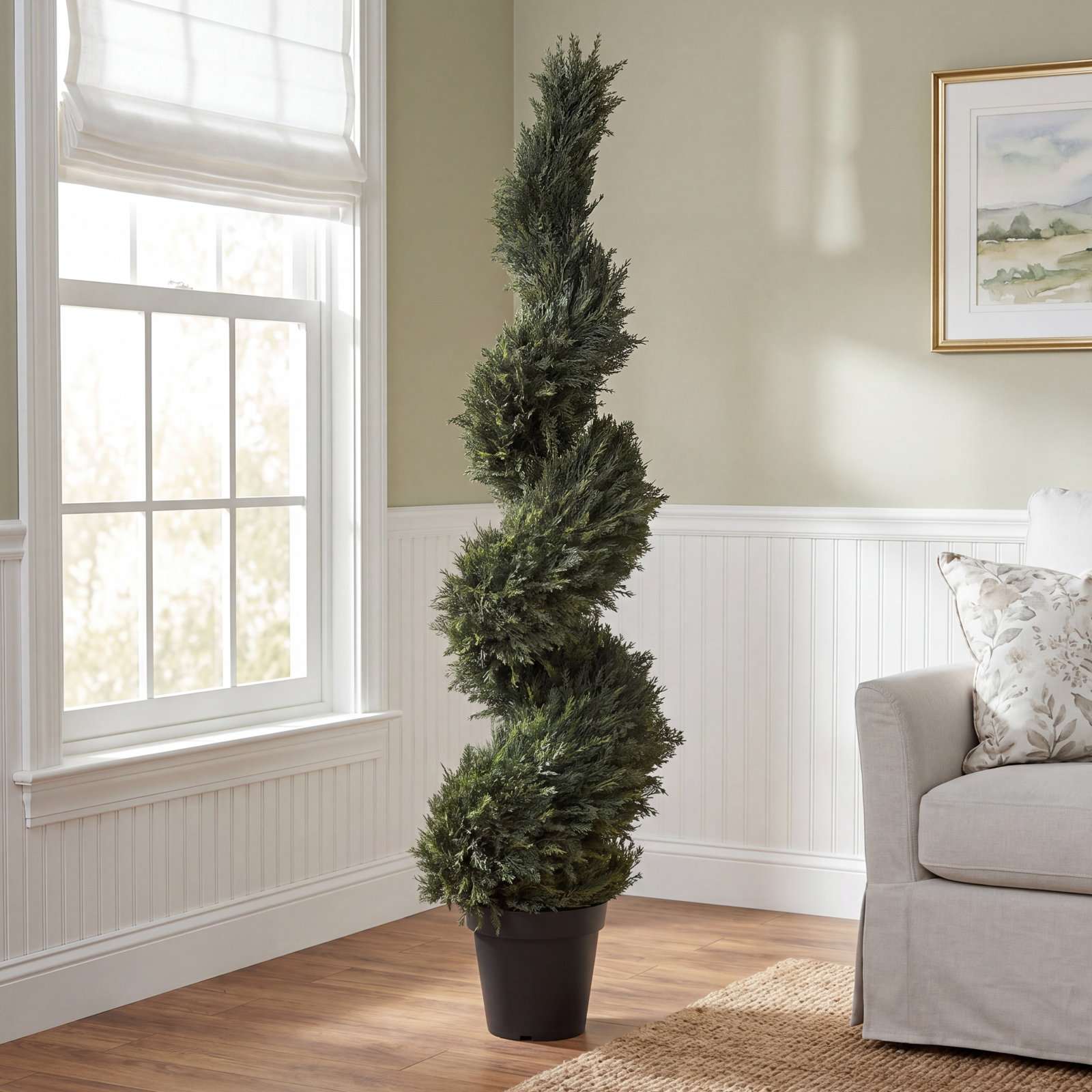 63" Cypress Topiary in Pot