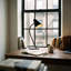 Organic Desk Table Lamp