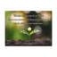 No Frame Print on Canvas-895592756
