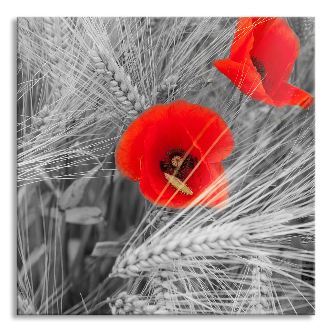 Glasbild Mohnblumen im Kornfeld