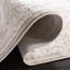 Reflection Oriental Area Rug In Creme / Ivory-1893901758