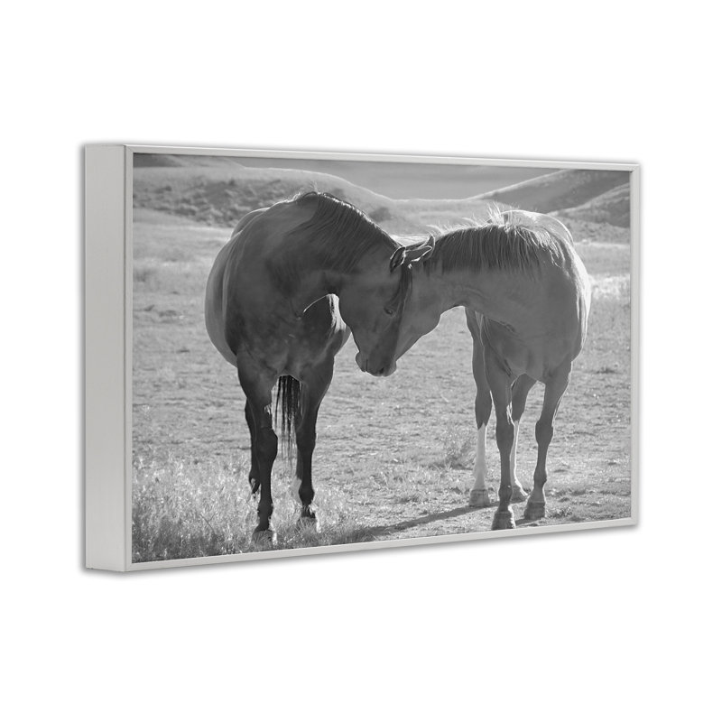 «Sweet Nothings Bond entre les chevaux», estampe numérique, design par Steve Toole, H 12 po x l 18 po