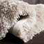 Gentas Hand Tufted Shag Solid Color Area Rug-23513897