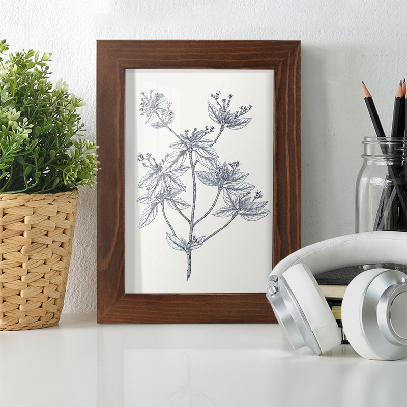 Indigo Botany Study III - reproduction de cadre photo simple, H 9 po x l 7 po x P 1 po, Châtaigne