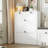 16 Pair Shoe Storage Cabinet With 2 Drawers-181578423