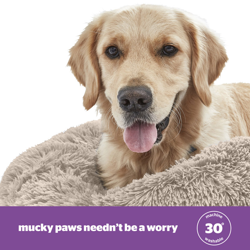 Silentnight Calming Plush Donut Pet Bed, Beige, 14cm H x 60cm W x 60cm D
