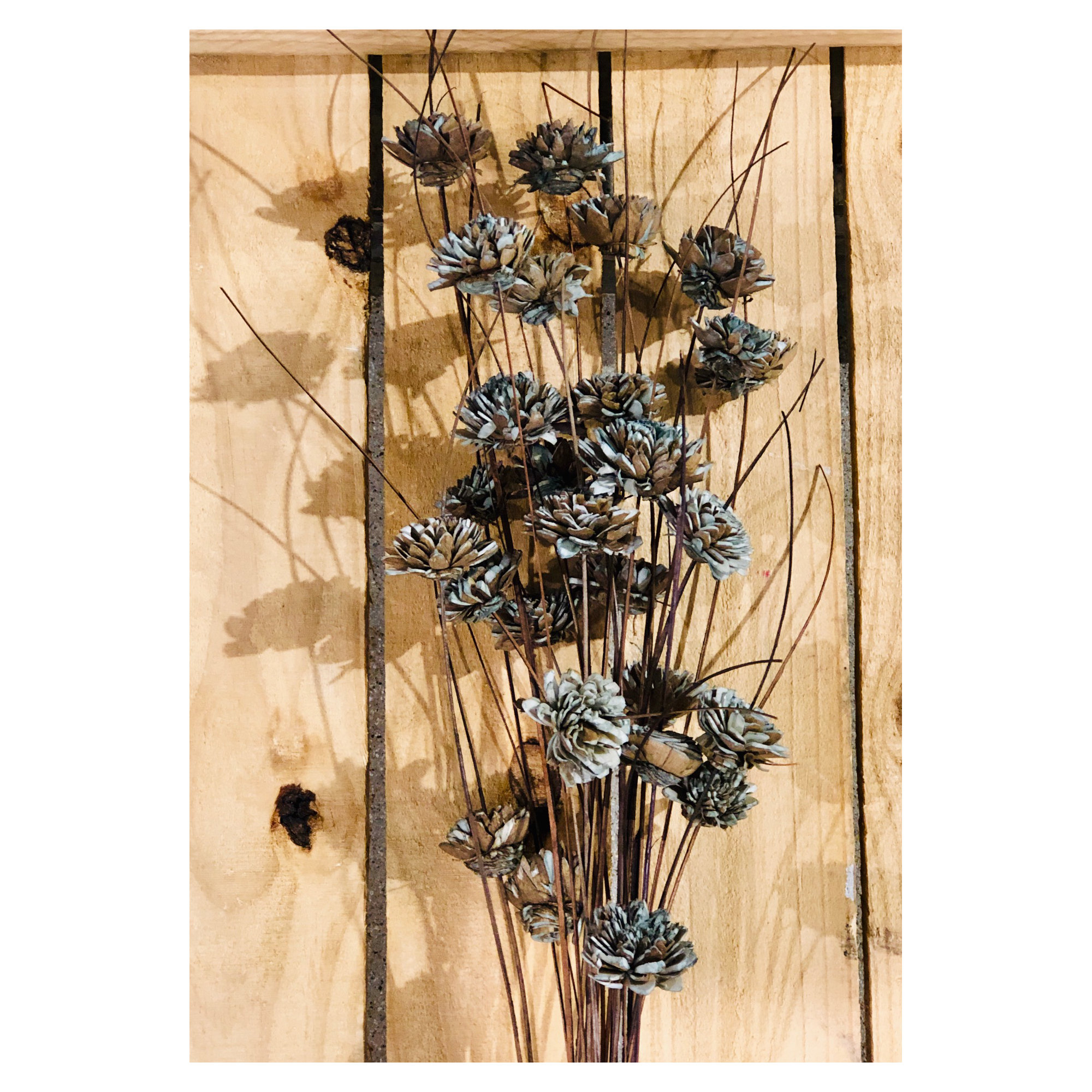 Ting Zinnia Stem, Seafoam Turquoise/Carmel