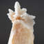 Genuine Stalactitic Calcite Cluster