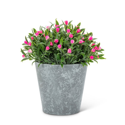 Arrangement floral mixte en pot