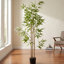 Faux bambou 70,75 po en pot