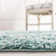 Wentworth Indoor Rug