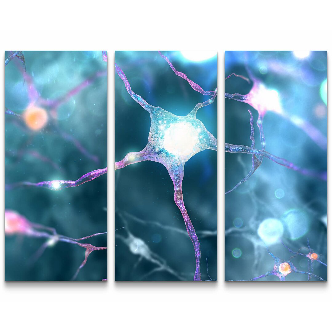 3-tlg. Leinwandbilder-Set Nervensystem