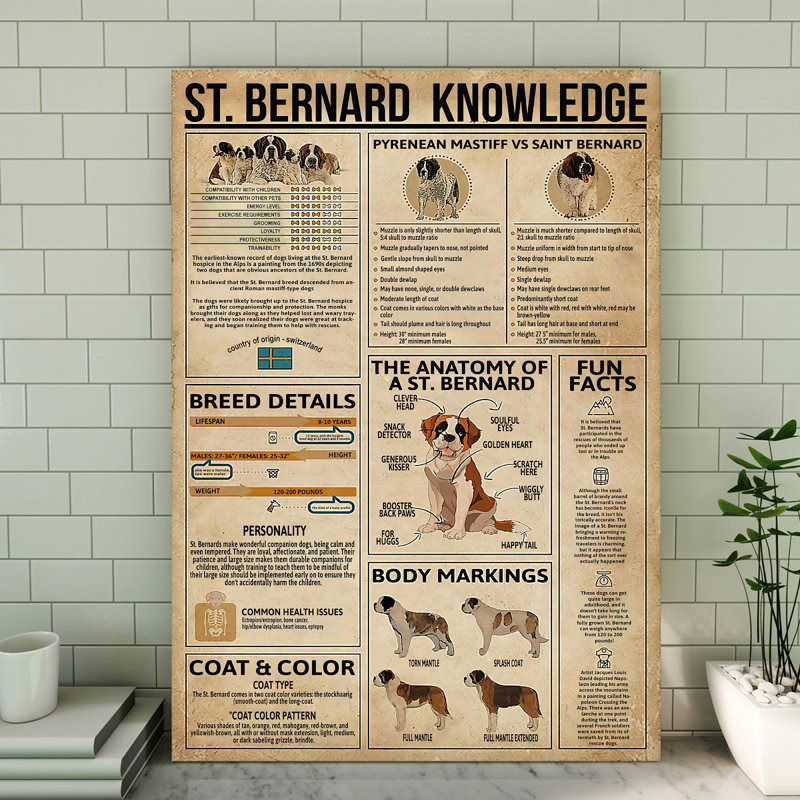 Toile tendue St.Bernard, H 14 po x l 11 po x P 2 po